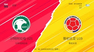 梅西：阿根廷足球的艺术化身与传奇标杆